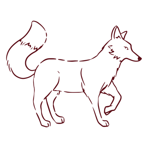 Dibujo del contorno de un zorro. Diseño PNG