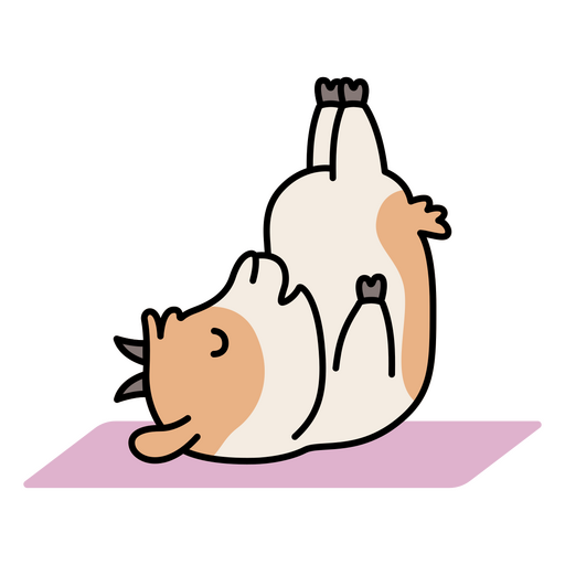 Dibujos animados de carácter de yoga de cabra