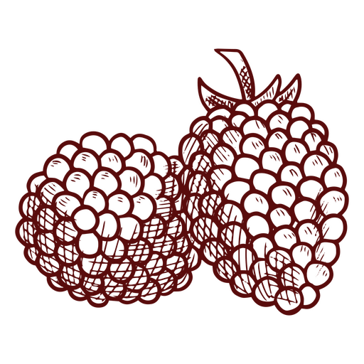 Two red raspberries PNG Design