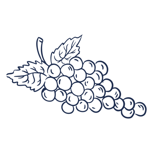 Dibujo de un racimo de uvas. Diseño PNG