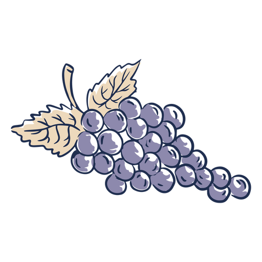 Ilustración de un racimo de uvas. Diseño PNG