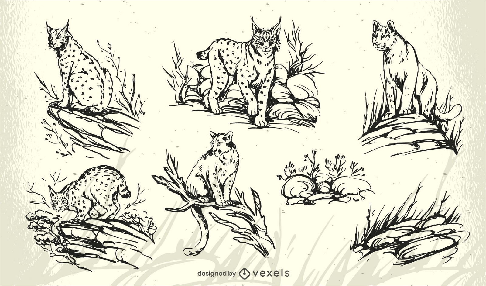 Lynx cat character set