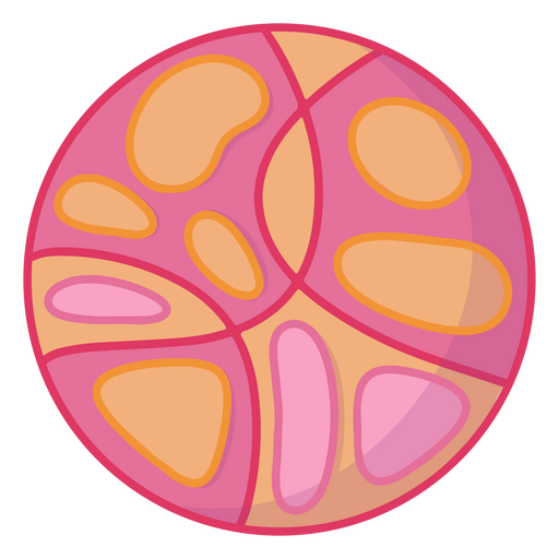 Ícone de um círculo rosa e laranja Desenho PNG