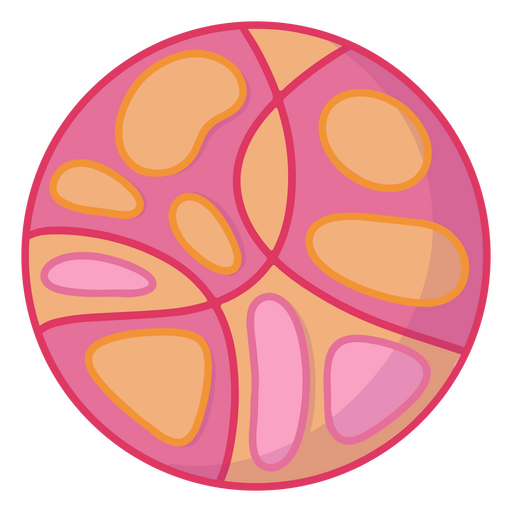Icono de un círculo rosa y naranja. Diseño PNG
