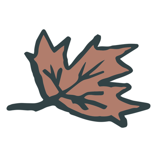 Maple leaf doodle PNG Design