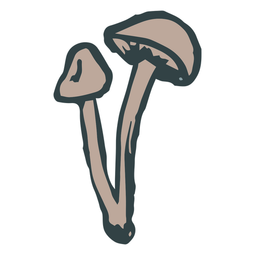 Two mushrooms doodle PNG Design