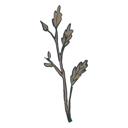 Illustration einer Pflanze PNG-Design
