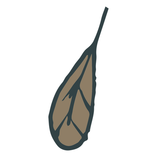 Doodle de plumas pequeñas marrones Diseño PNG