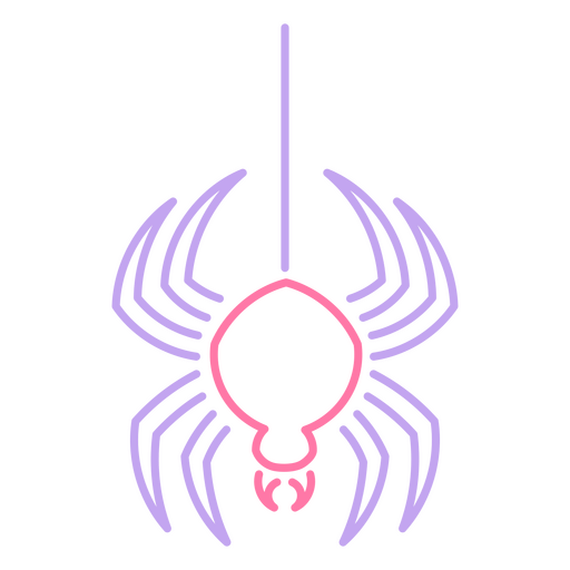 Araña rosa y morada Diseño PNG