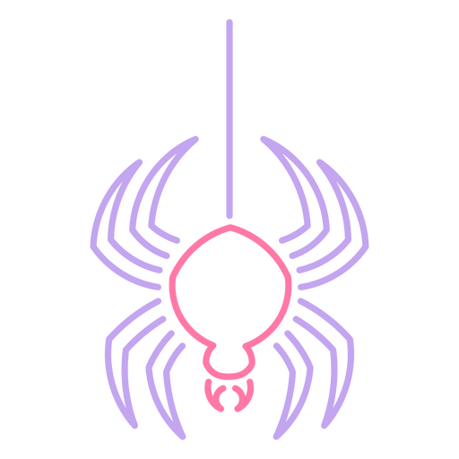 Aranha rosa e roxa Desenho PNG