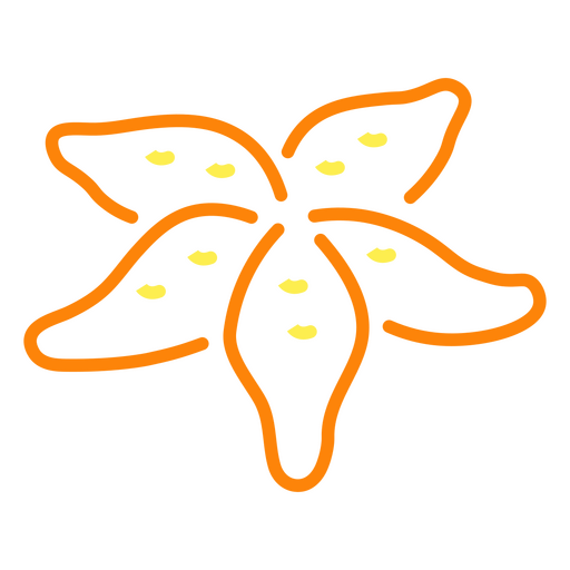Orange starfish PNG Design