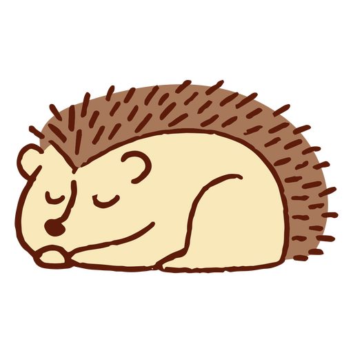 Cartoon hedgehog sleeping PNG Design