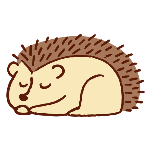 Cartoon-Igel schläft PNG-Design