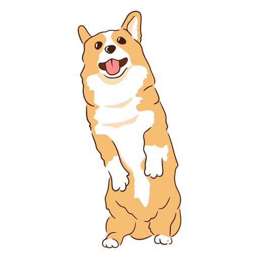 animal de estimação corgi Desenho PNG