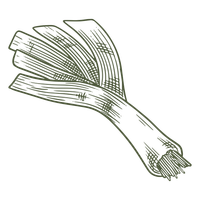 Green Illustration Of Leek PNG SVG Design For T Shirts Green Illustration Of Leek PNG SVG Design For T Shirts