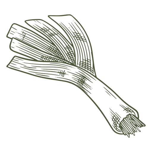Ilustração verde de alho-poró Desenho PNG