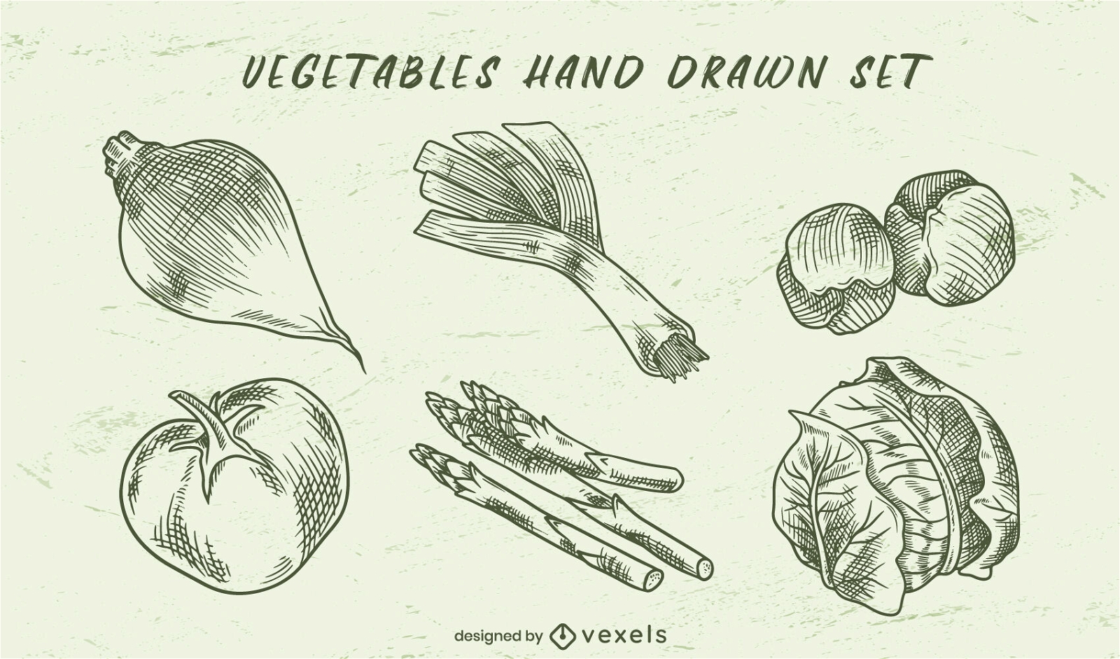Conjunto de vegetais desenhados à mão