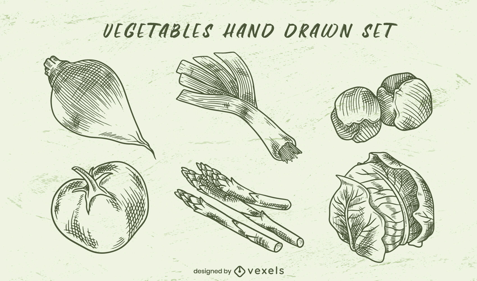 Gemüse handgezeichnetes Set
