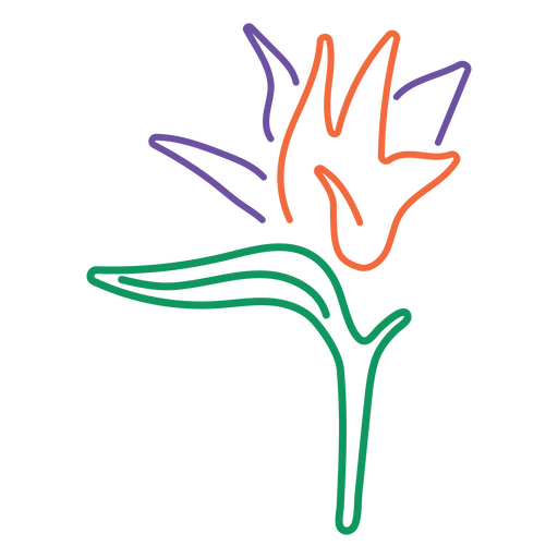 Blume des Vogelparadieses PNG-Design