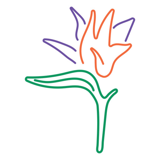 flor do paraiso ave Desenho PNG