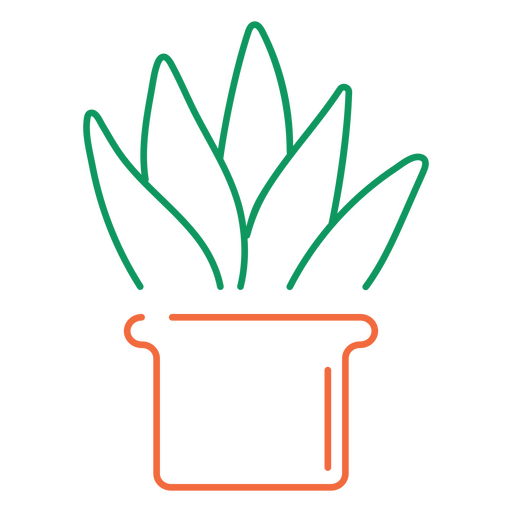 stroke agave plant drawing PNG Design