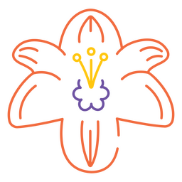 trazo de flor de lirio naranja Diseño PNG