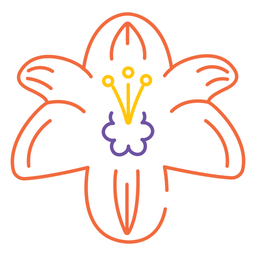 flor de lírio laranja Desenho PNG