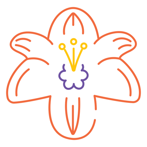 trazo de flor de lirio naranja Diseño PNG