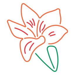 desenho de lírio Desenho PNG
