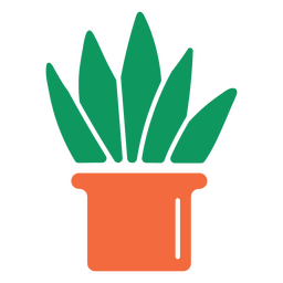 halbflache Agavenpflanze PNG-Design