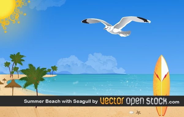 Summer beach with seagull
