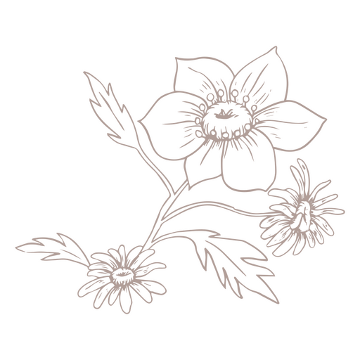 Anemone and daisies PNG Design