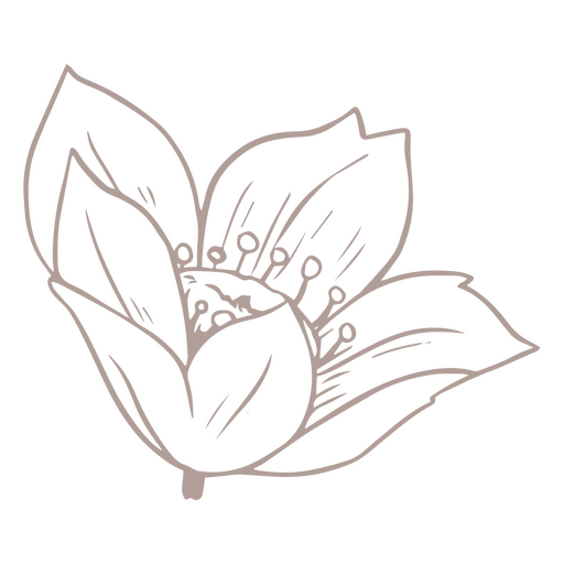 Seitliche Anemonenblüte PNG-Design