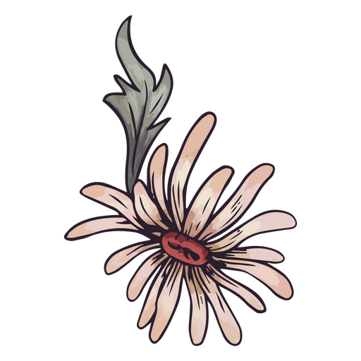 Gelbe Gänseblümchenblume PNG-Design