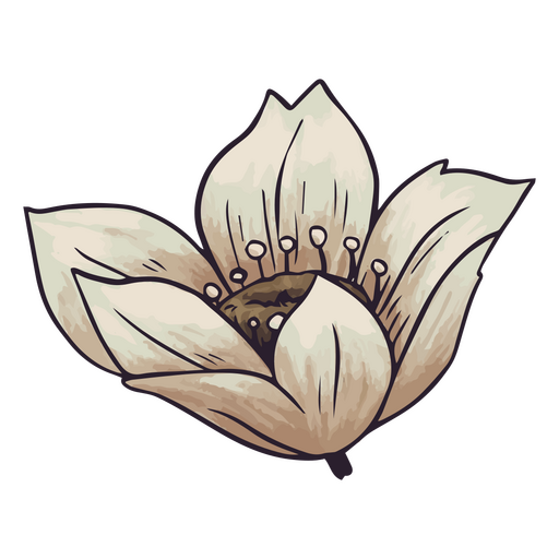 Baby anemone flower PNG Design