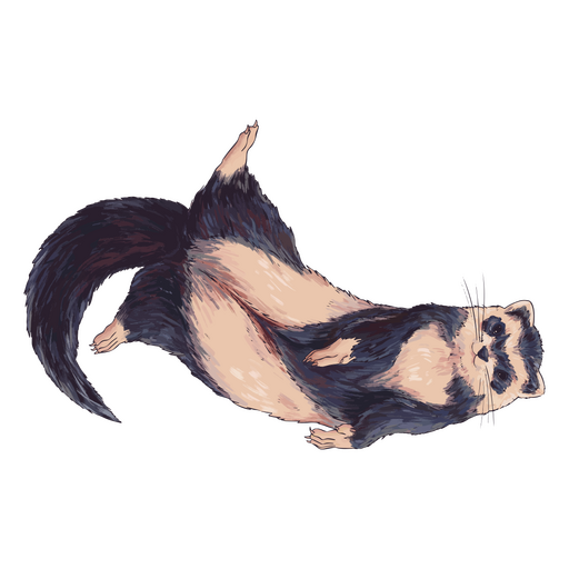 Ferret painting PNG Design
