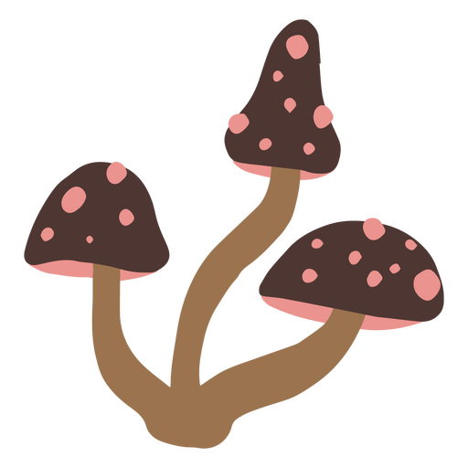 Três cogumelos mágicos Desenho PNG