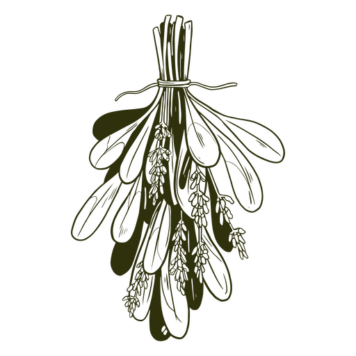 Herbs filled stroke witchy PNG Design