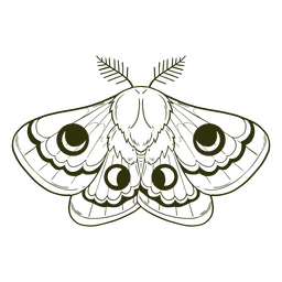 Motte gefüllter Schlaganfall witchy PNG-Design