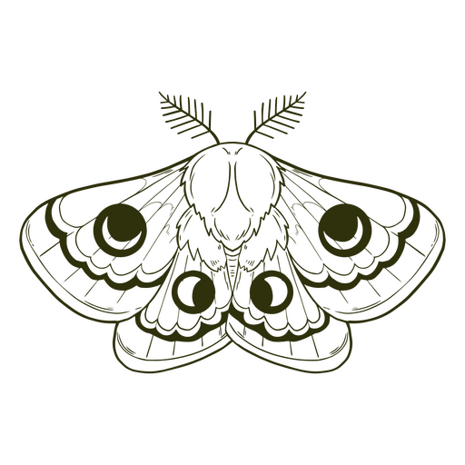 Moth filled stroke witchy PNG Design