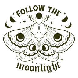 Siga la cita de trazo llena de luz de luna Diseño PNG