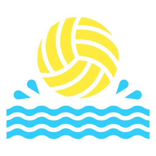 Water Polo Ball -DS