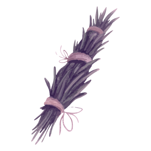 Witch's broom PNG Design