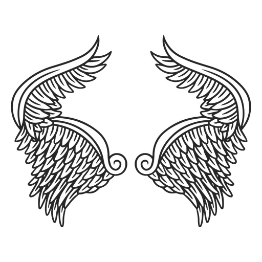 Magníficas asas de anjo Desenho PNG