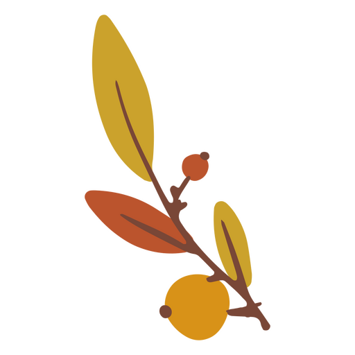 Leaf and seeds olive branch PNG Design