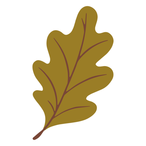 Folha verde no outono Desenho PNG