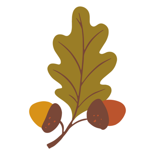 Leaf with acorns  PNG Design