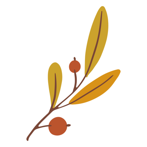 Olive branch by Hanukkah PNG Design