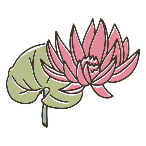 Imagen de flor de loto Diseño PNG