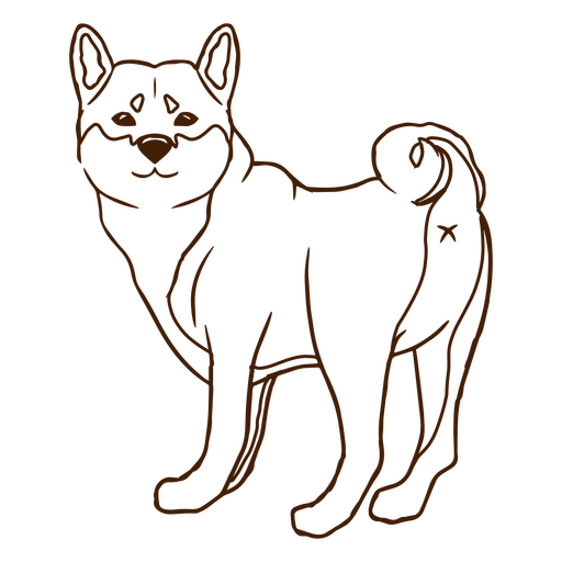 Cachorro Shiba Inu Japonês Desenho PNG